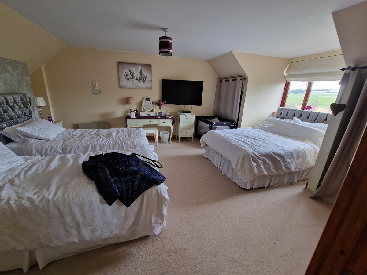 The Dolphins Guest House photo 2