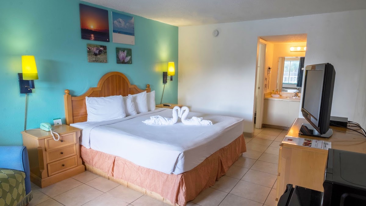 Rodeway Inn Clearwater - Central photo 3