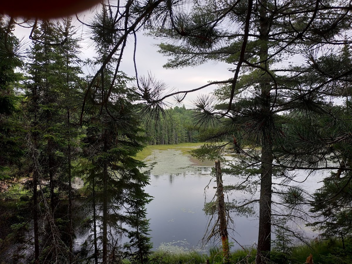 Opeongo River Provincial Park