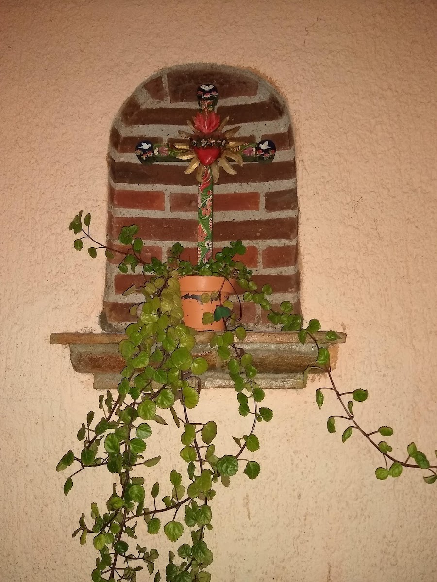 Hotel Real Santa Cecilia photo 3