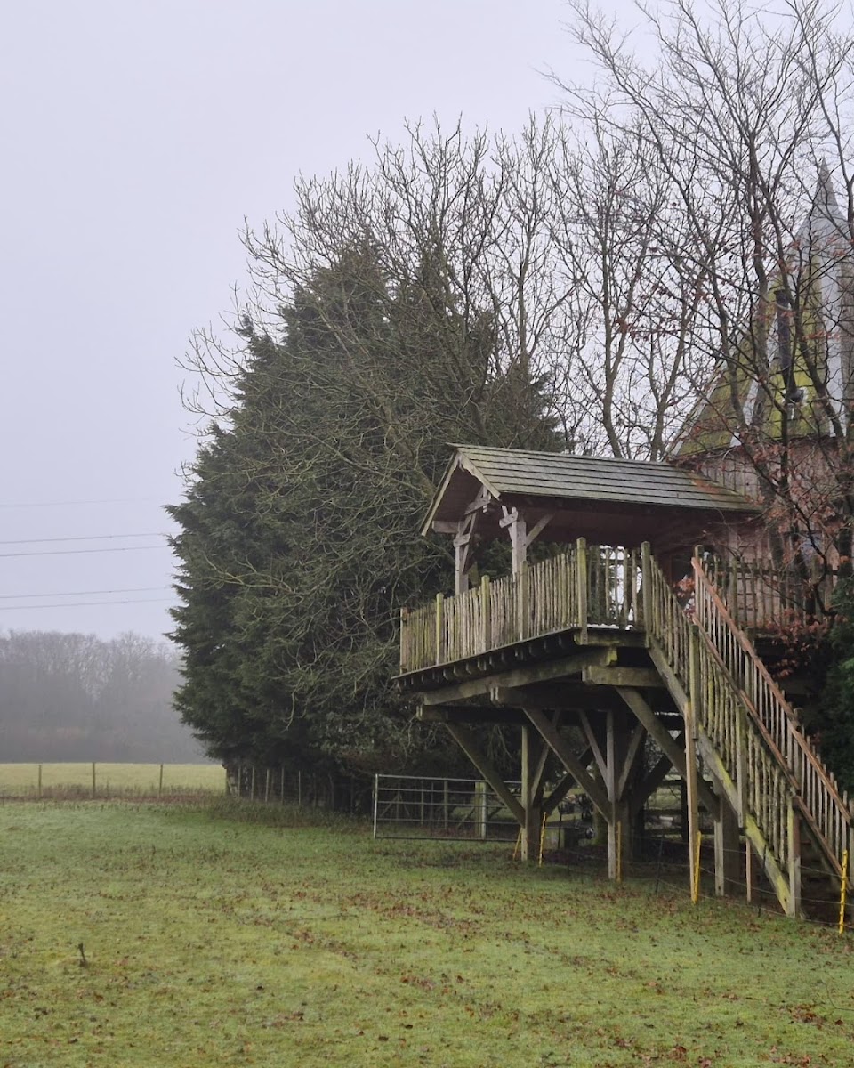The Lodge Treehouse photo 3