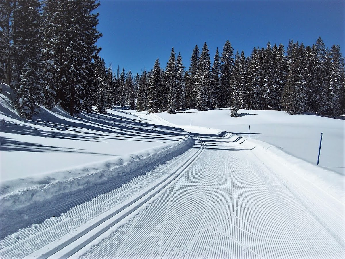 Grand Mesa Nordic Council
