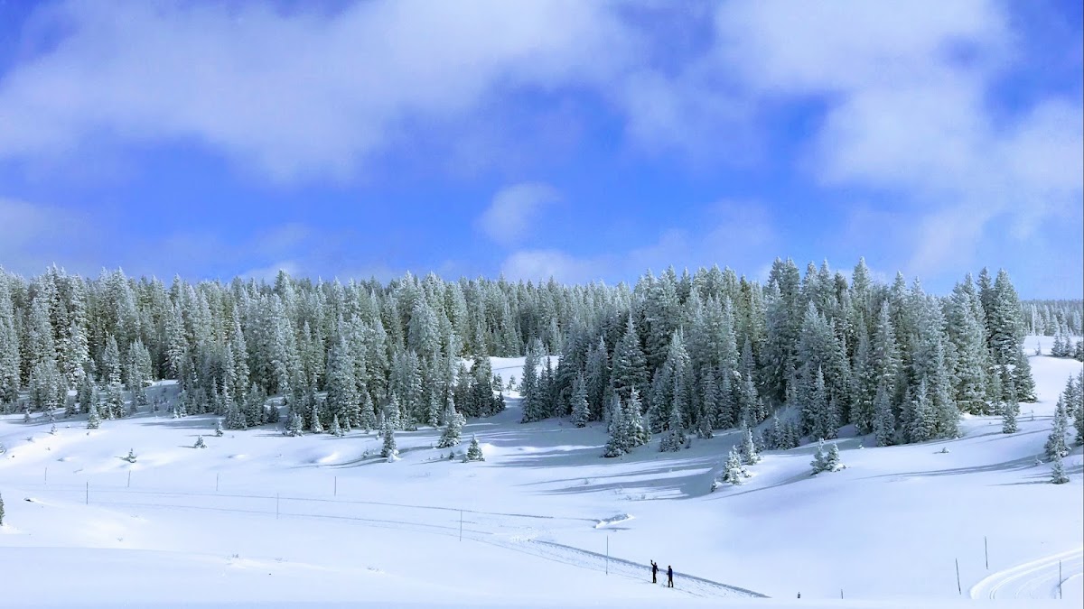 Grand Mesa Nordic Council photo 2
