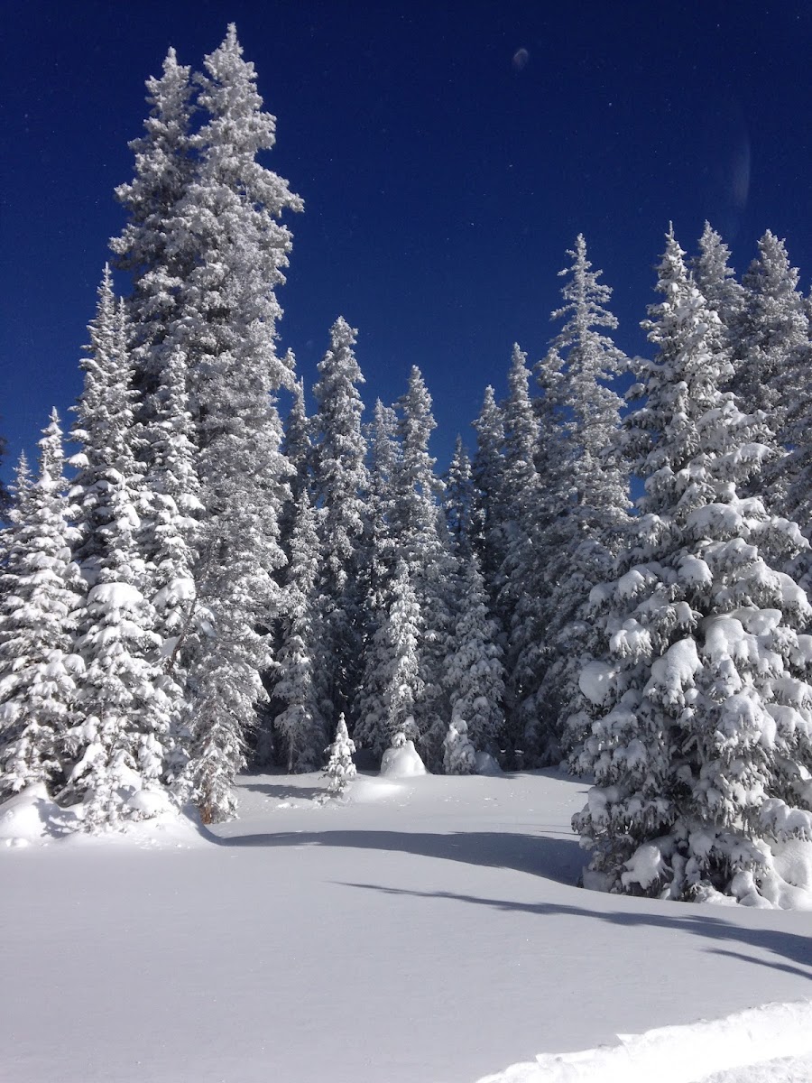 Grand Mesa Nordic Council photo 3