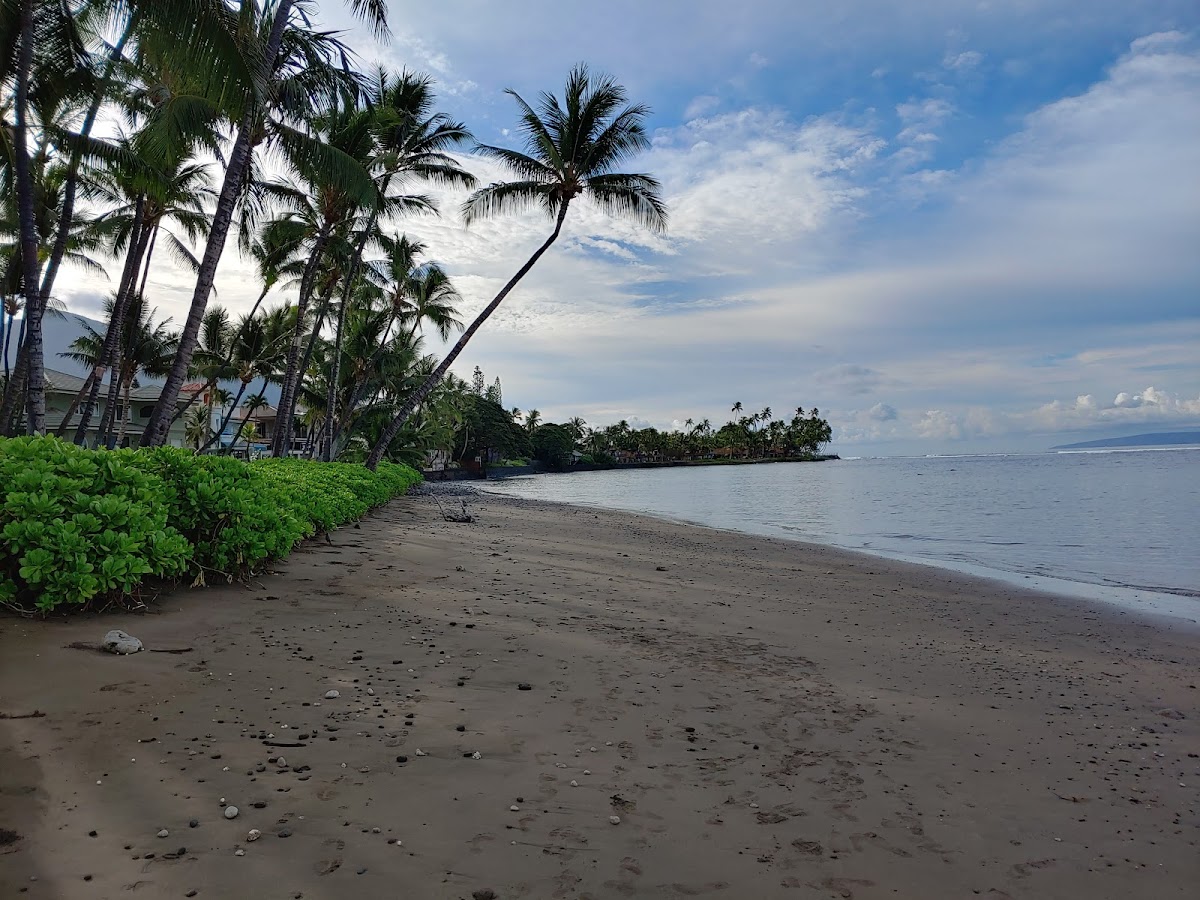Lahaina Shores Beach Resort photo 3