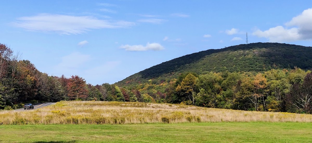 Blue Knob