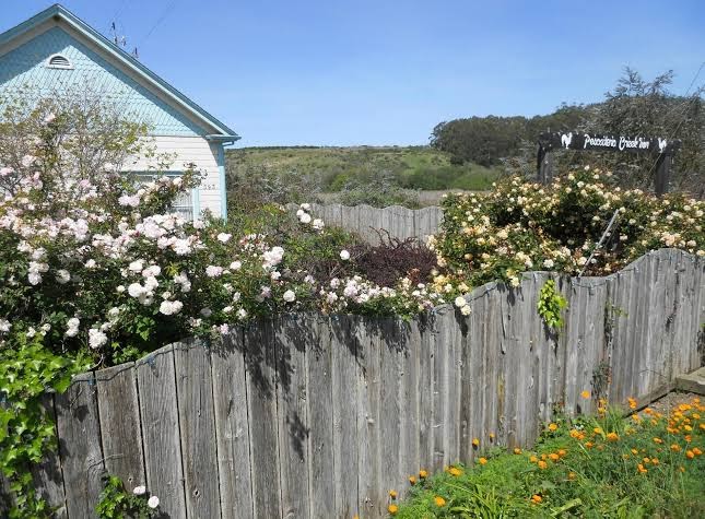 Pescadero Creek Inn photo 2
