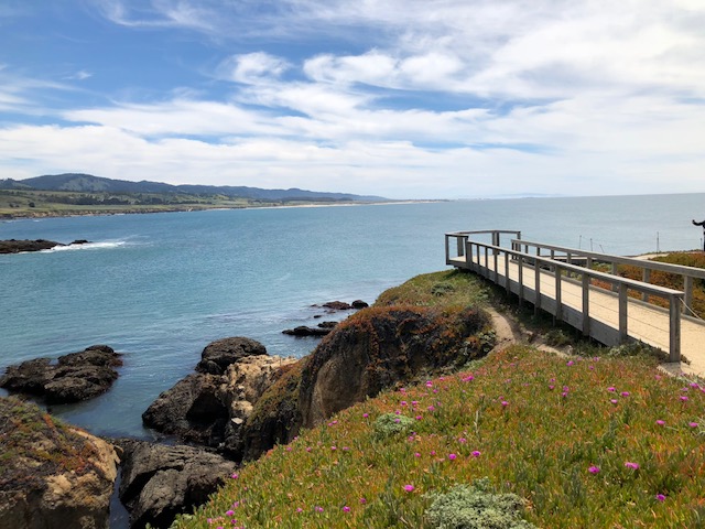 Pescadero Creek Inn photo 3