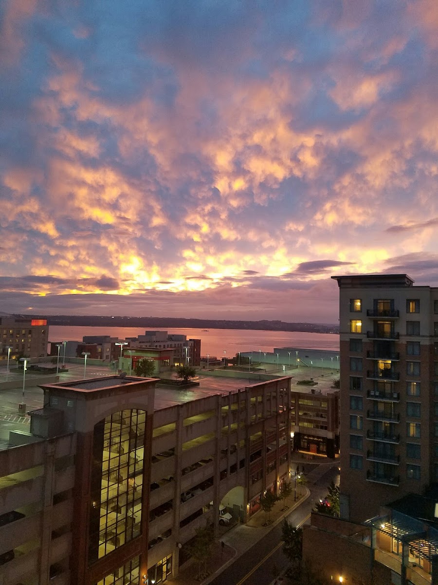 Club Wyndham National Harbor photo 2