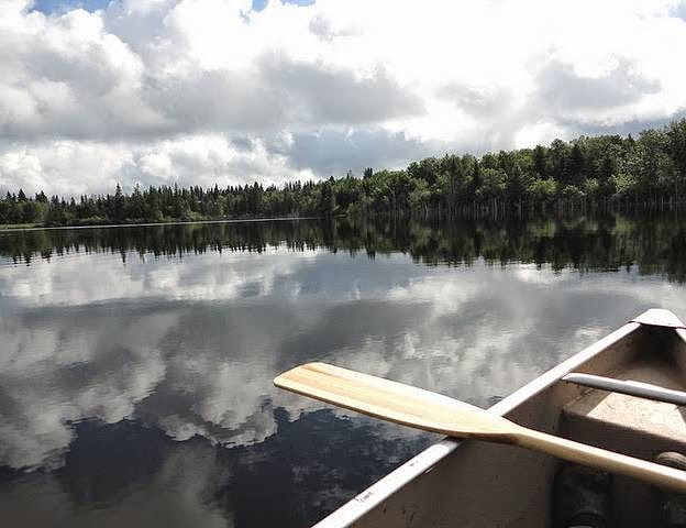 Flora Bora Forest Lodging photo 2