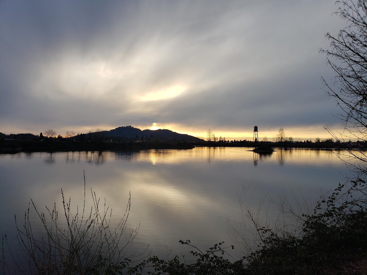 Cheadle Lake
