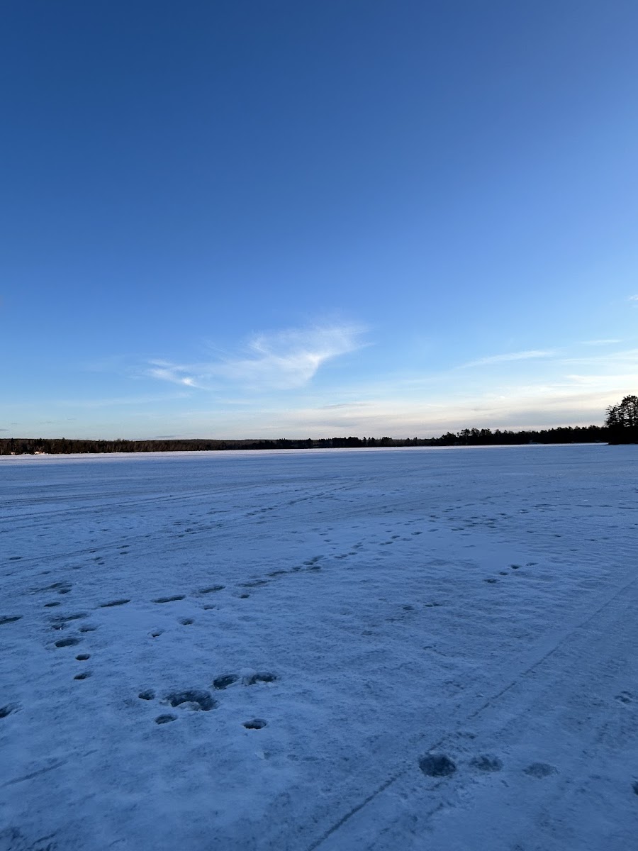 Blueberry Lake