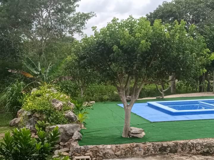 Eco-hotel Shalom photo 2