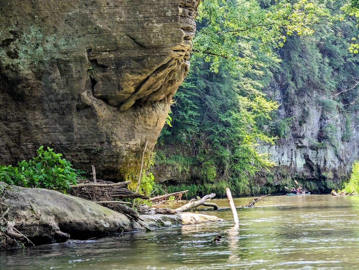 Kickapoo Valley Reserve