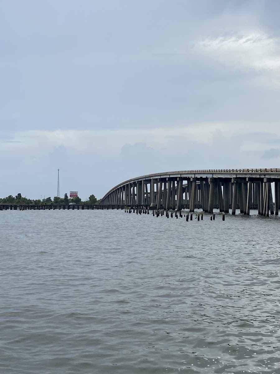 The Manchac Swamp Bridge