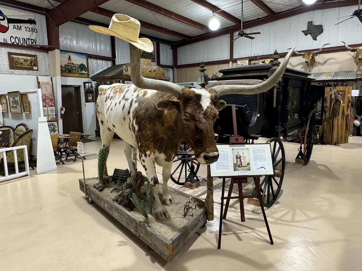 Longhorn Museum