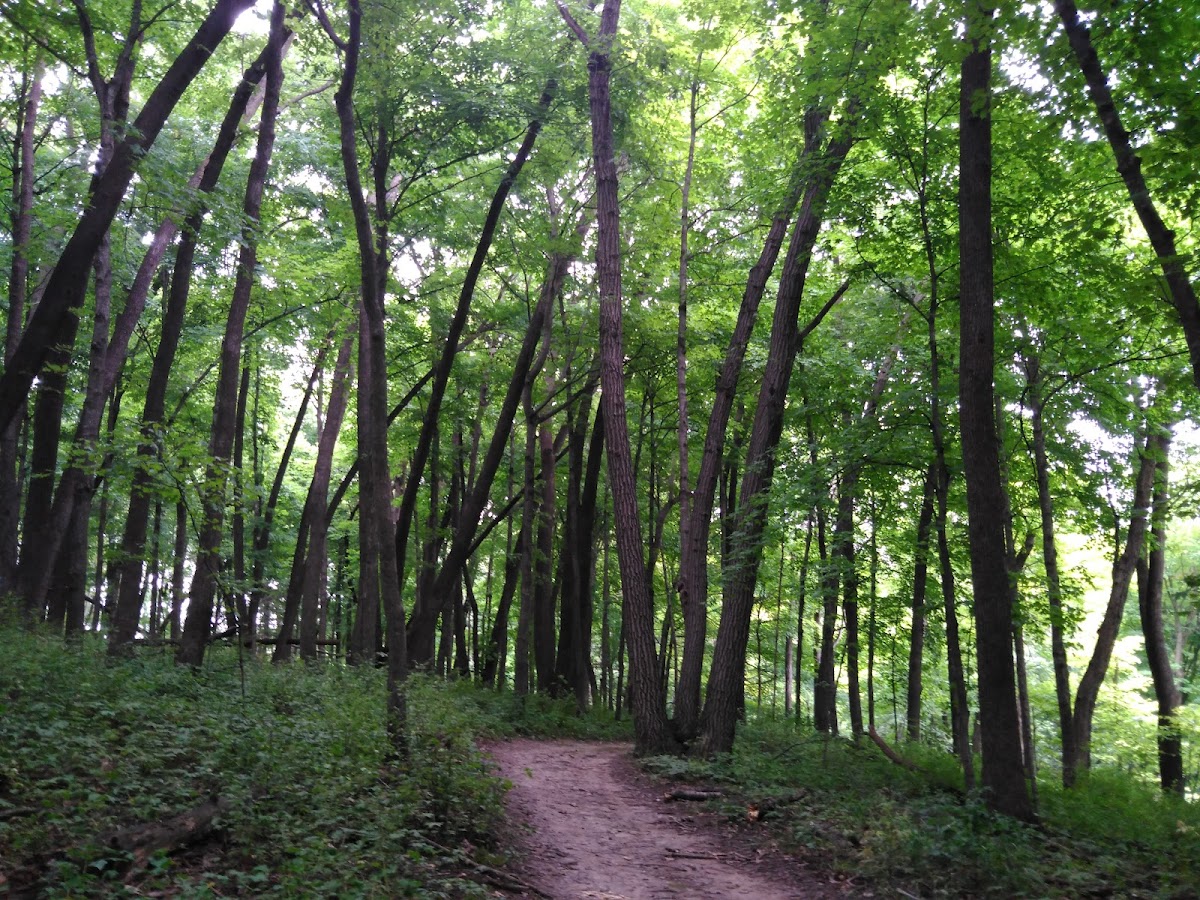 Oxbow Park & Zollman Zoo