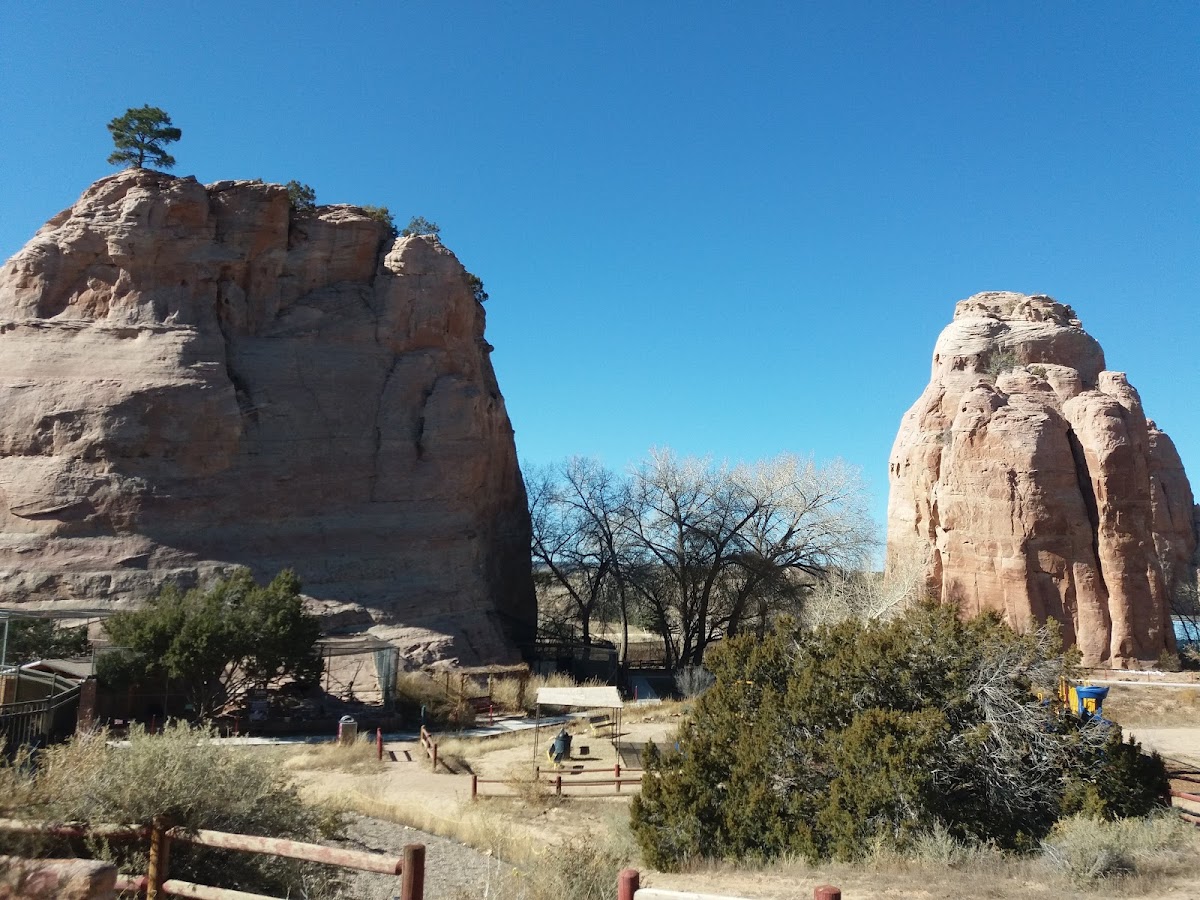 Navajo Nation Zoo