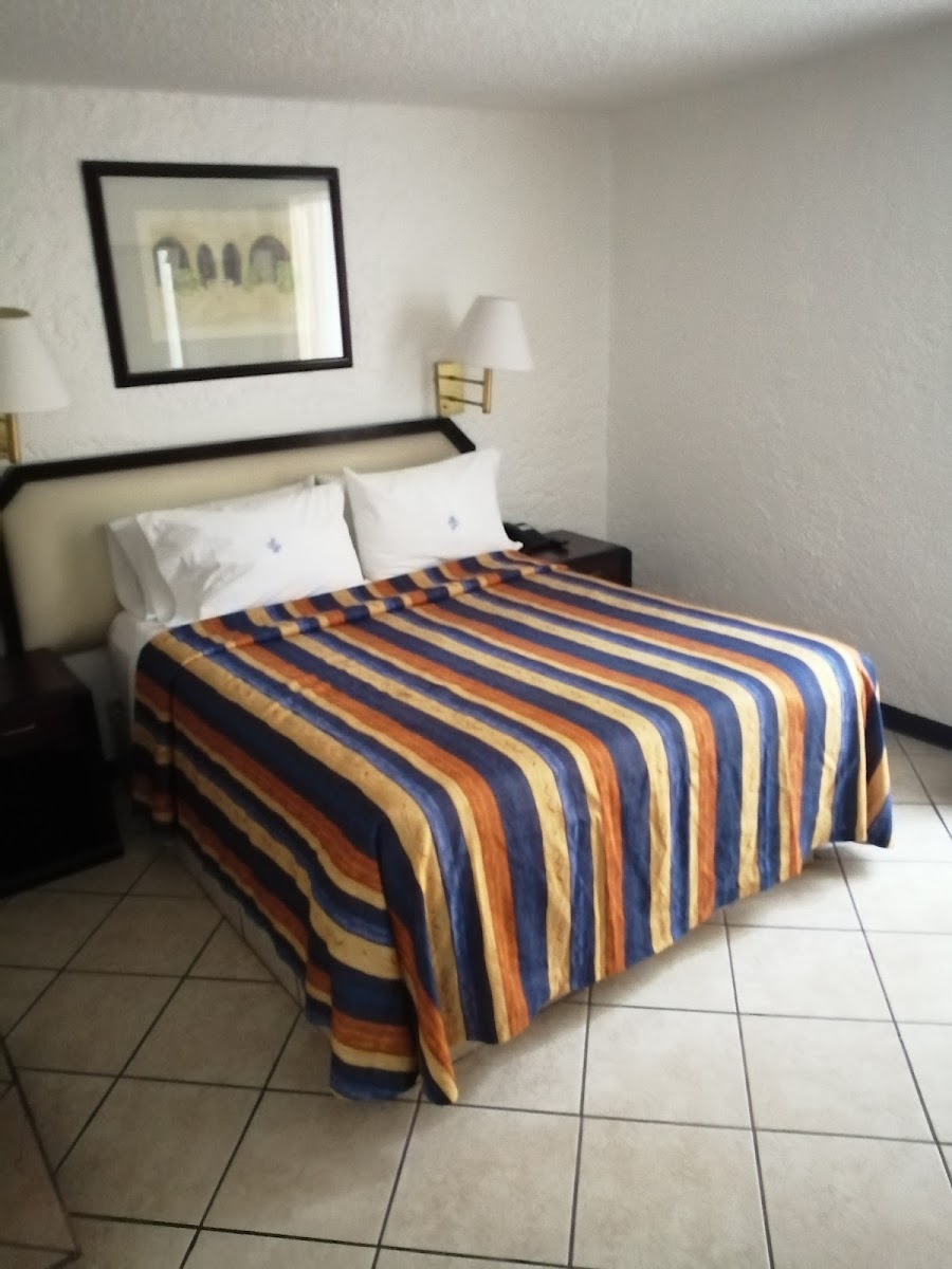 Hotel El Porton photo 2