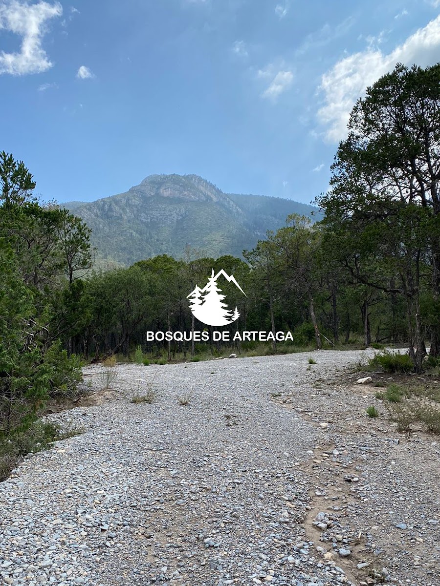 Bosques de Arteaga