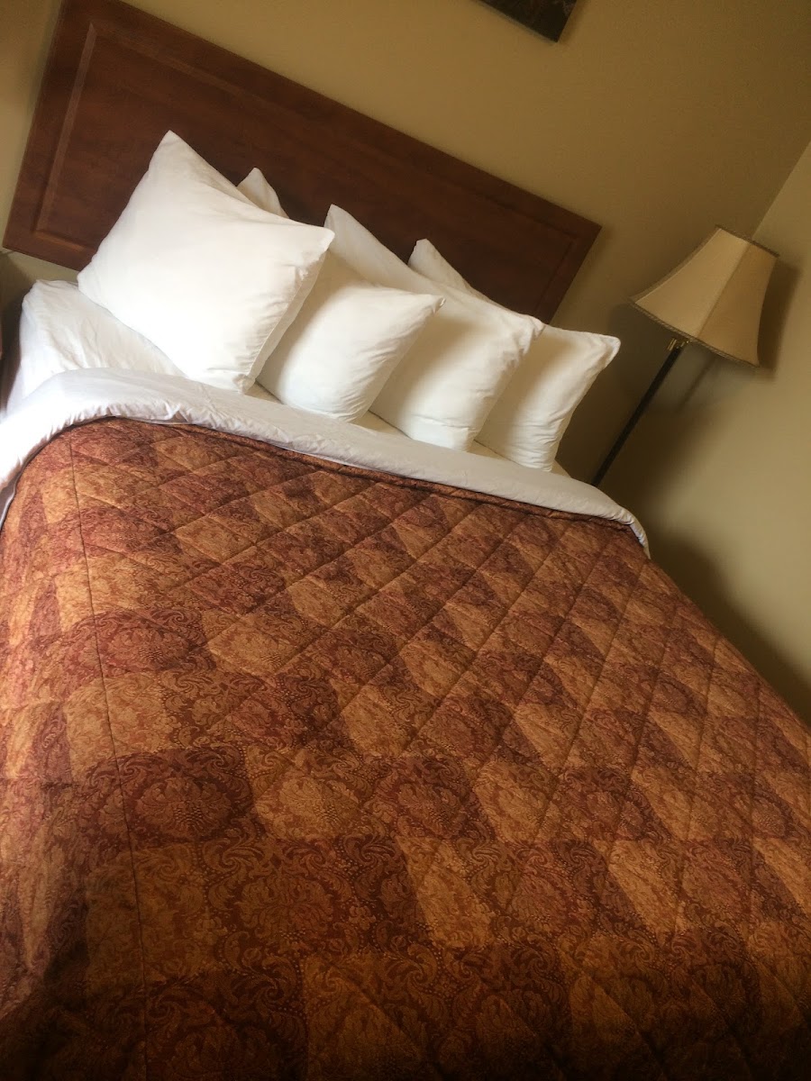 Travelers Haven Motel photo 3