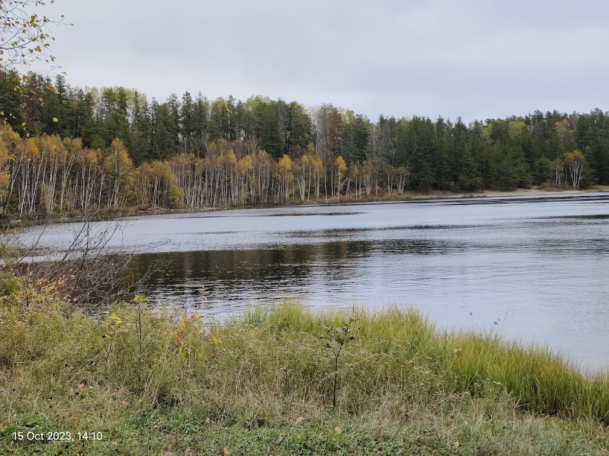Hersey Lake Conservation Area