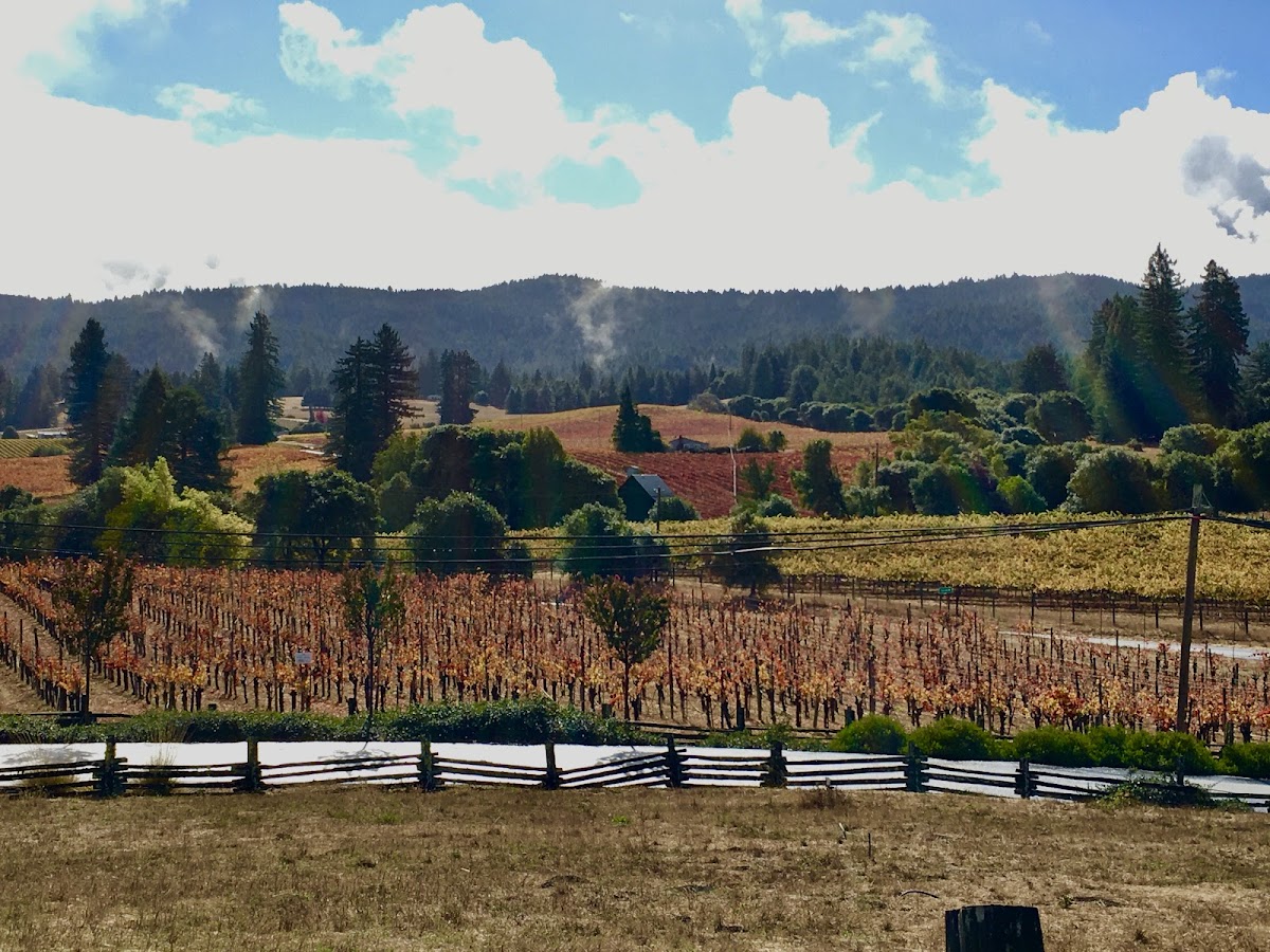 Anderson Valley