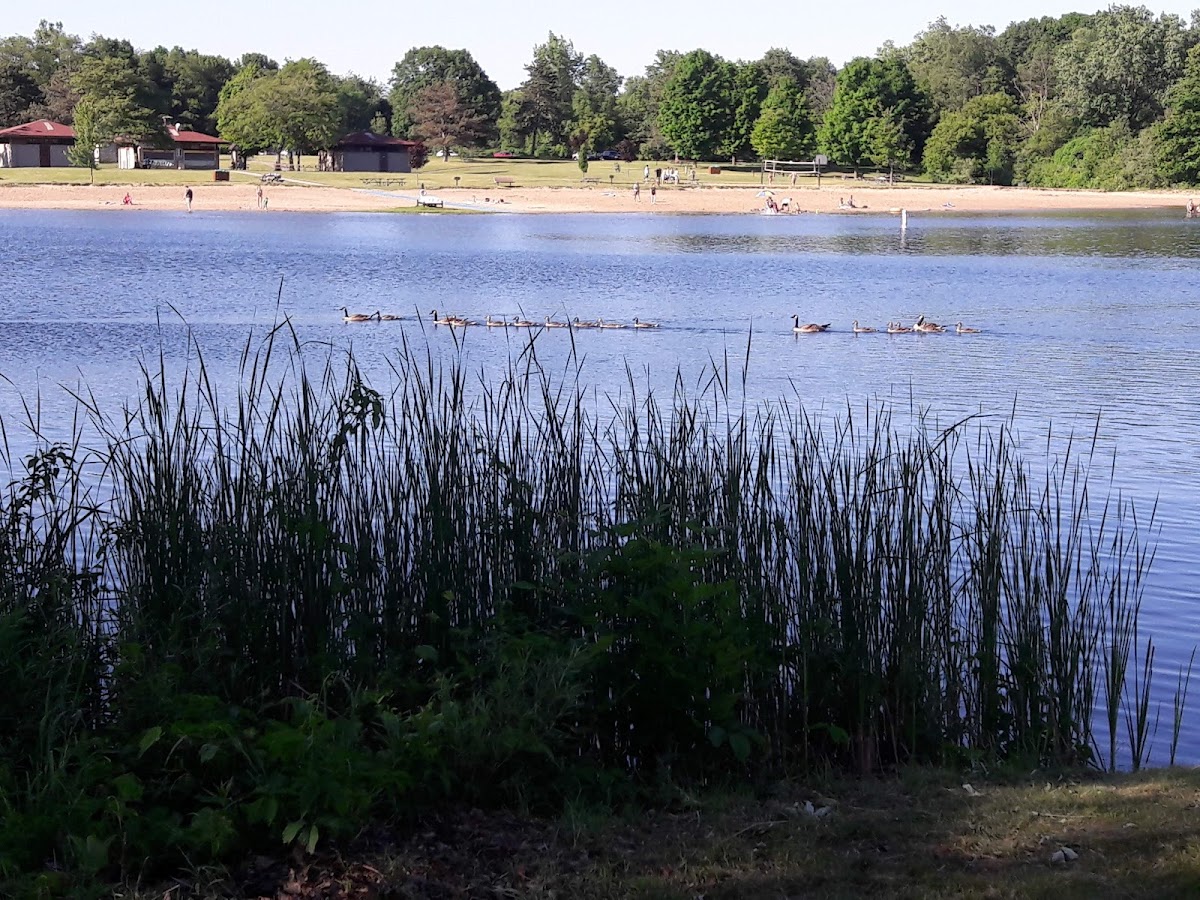 Metamora-Hadley Recreation Area