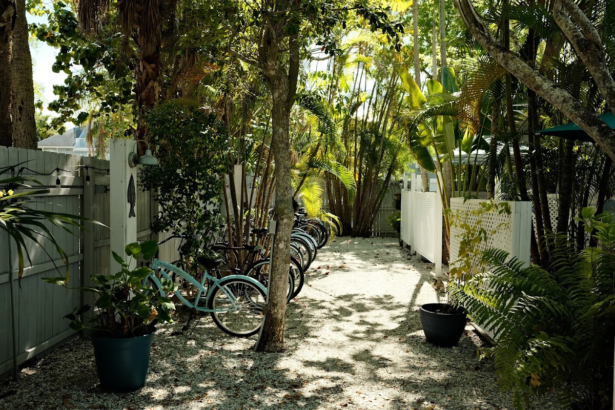 Tarpon Tale Inn photo 3