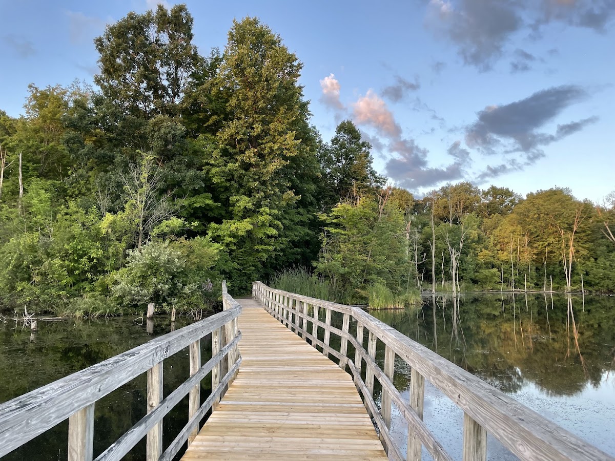 Rowden Park