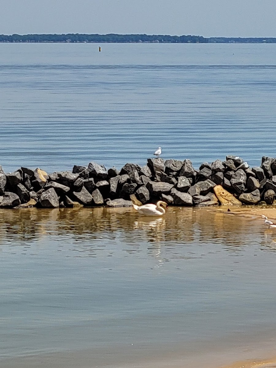 Colonial Beach
