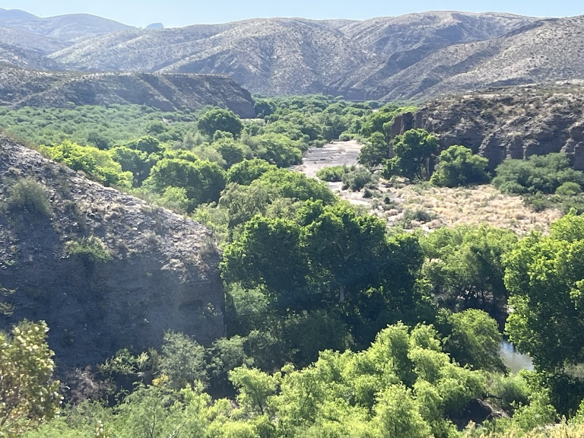 Gila Box Riparian National Conservation Area