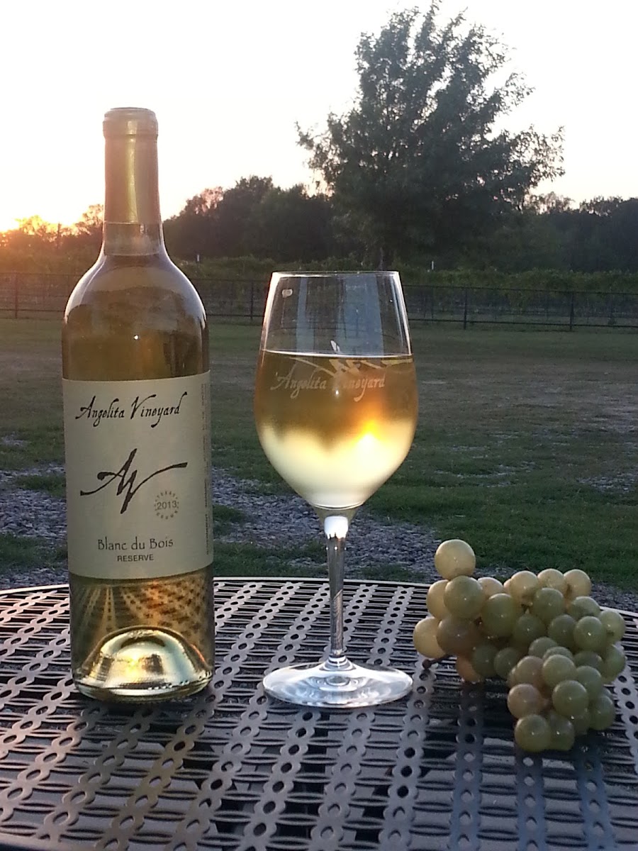 Angelita Vineyard & Winery