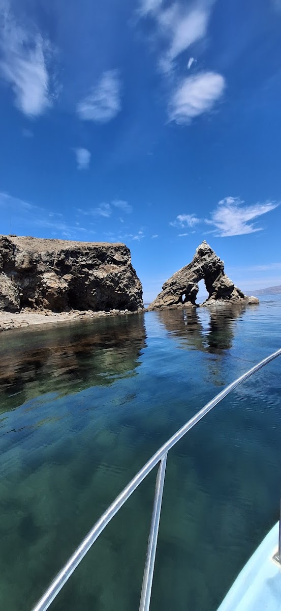 Ricardo's Diving Tours
