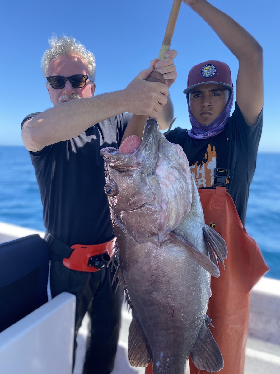 Fisharmz sportfishing