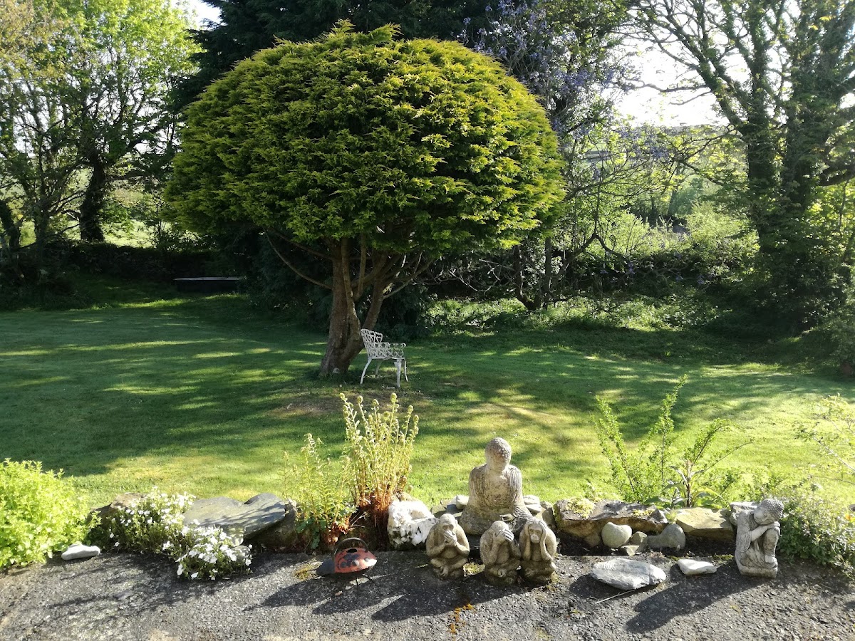 Morfa Isaf Farm Guesthouse photo 3