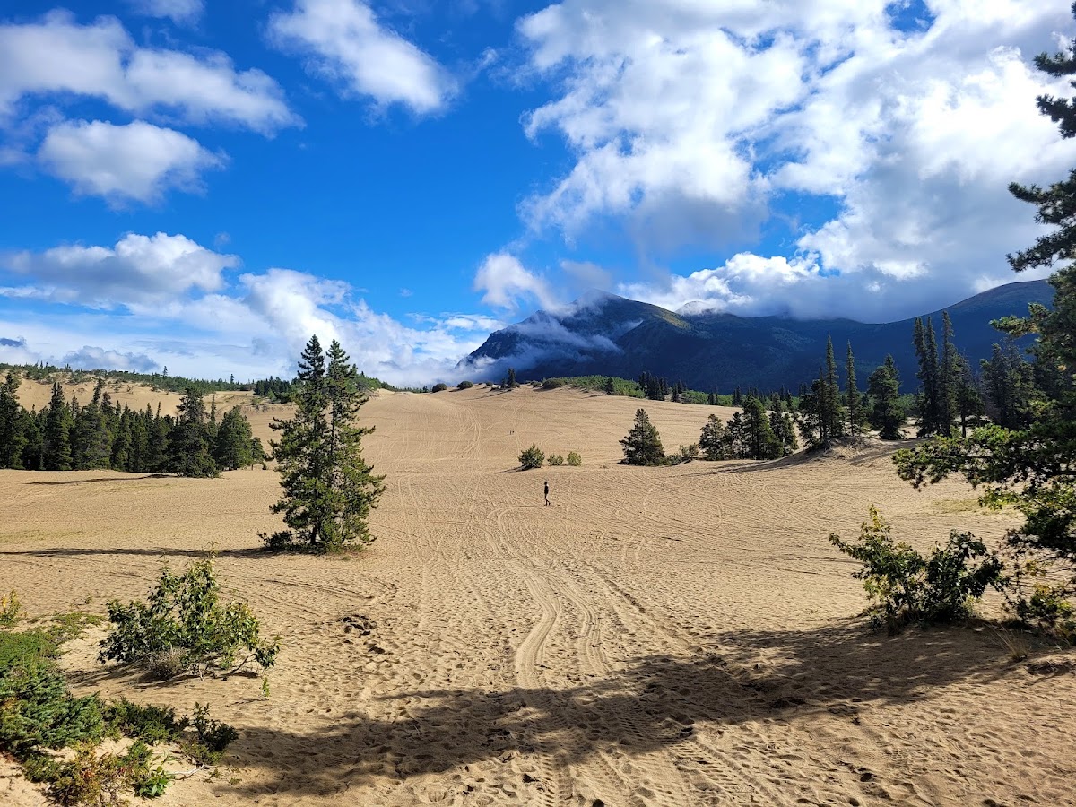 Carcross Desert
