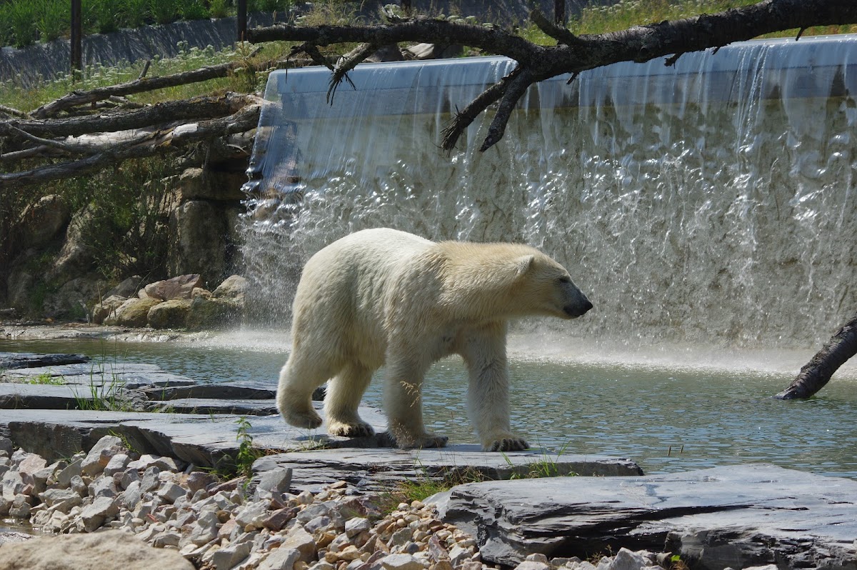 Zoo de Cerza