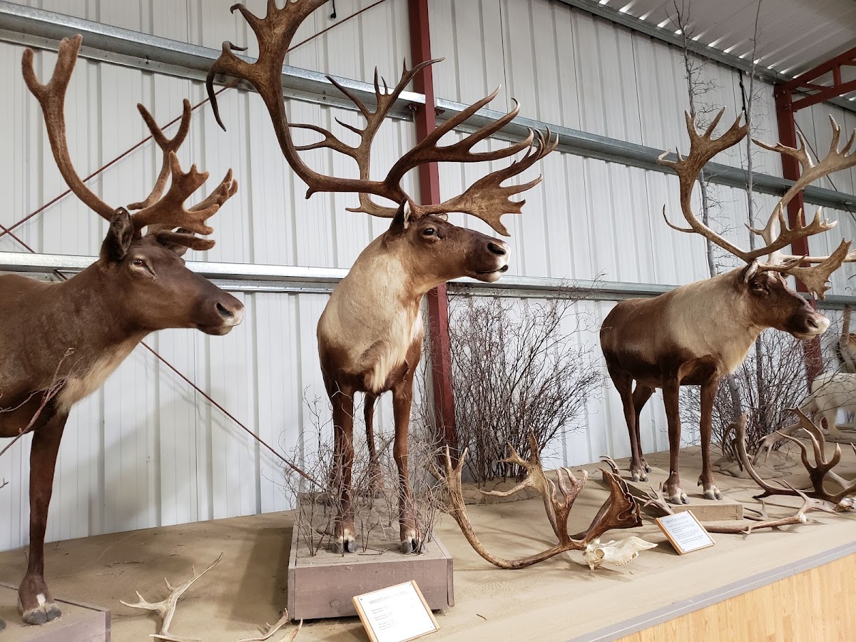 Caribou Crossing Trading Post