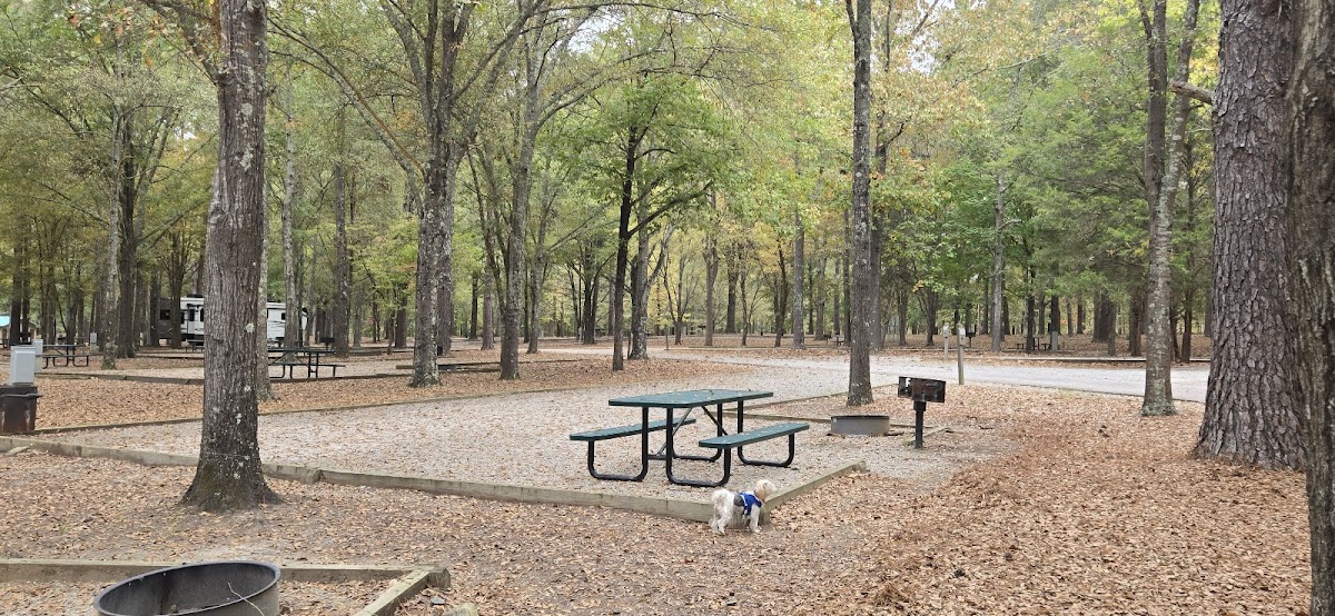 Parks Ferry Campground