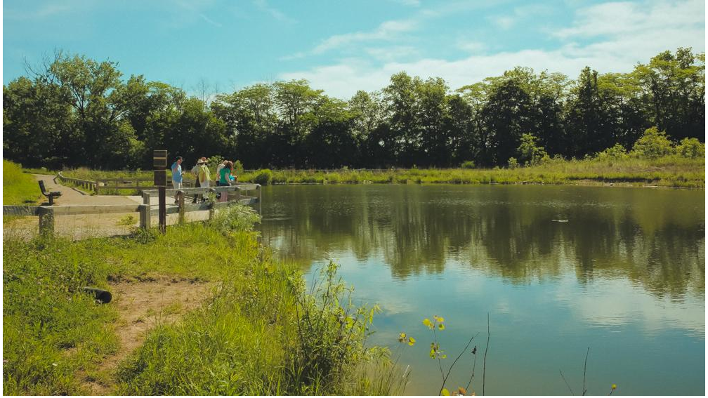 Blues Creek Park