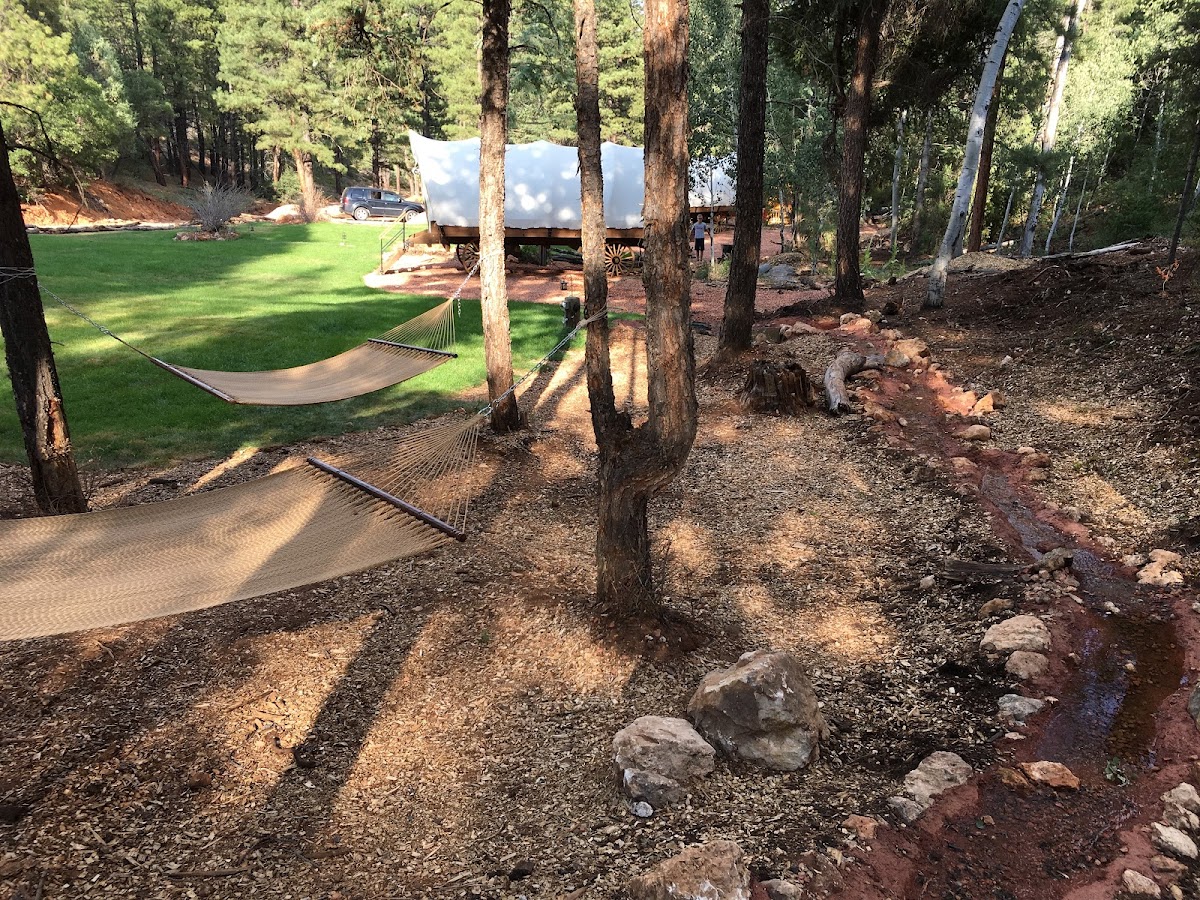 Whispering Pines Covered Wagon Resort photo 3