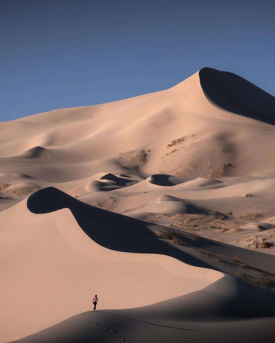 Dunas De Samalayuca, Chihuahua