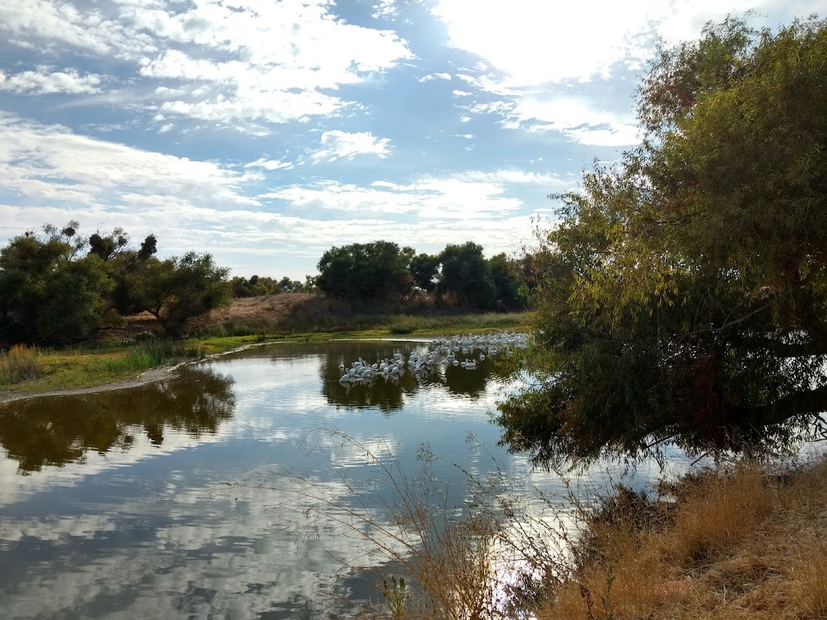 Great Valley Grasslands State Park