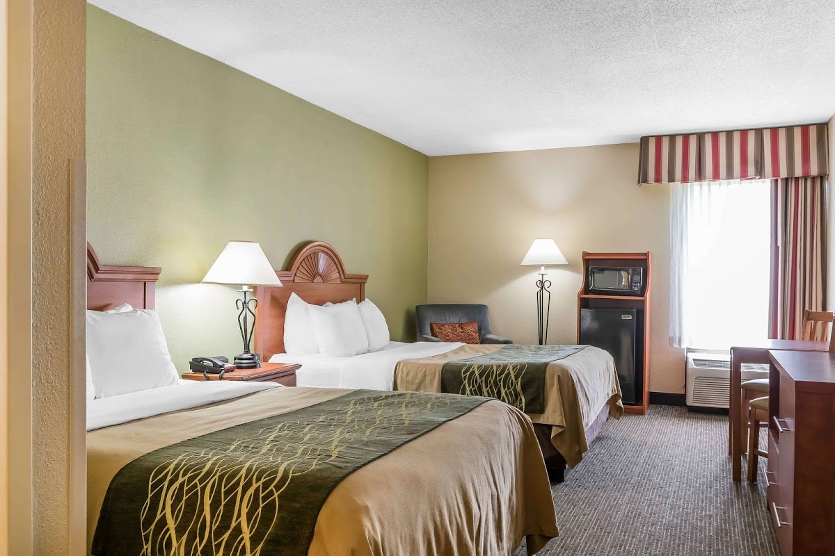 Comfort Inn Pine Grove I-81 Hershey Area photo 2