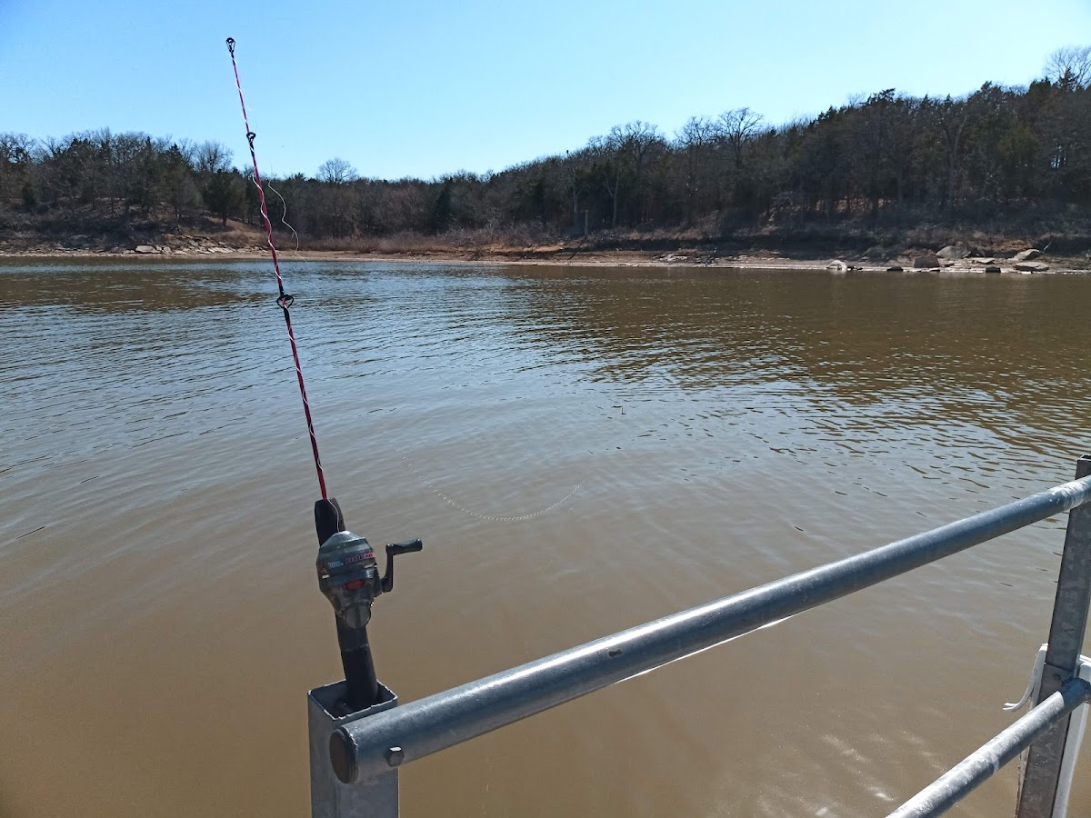 Texoma Fishing
