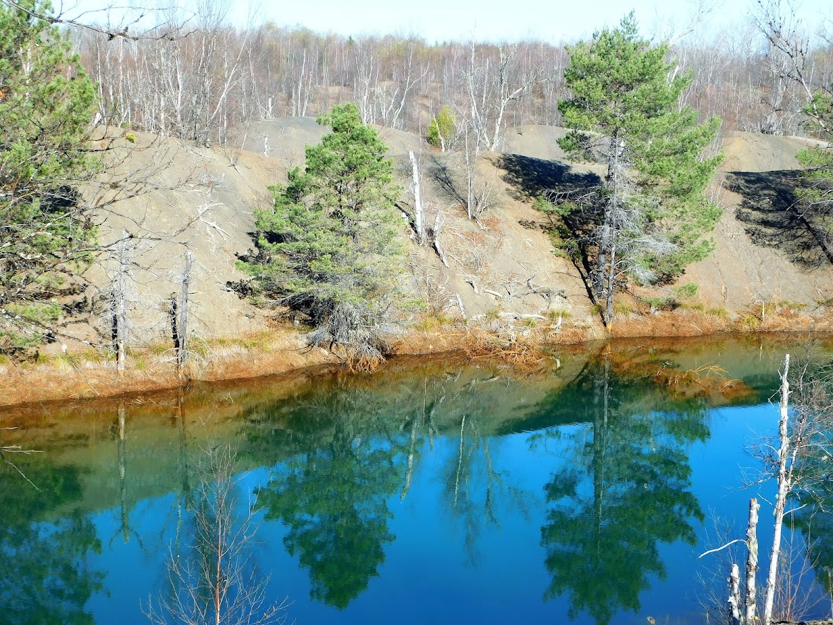 Minto Mountain Bike Trails