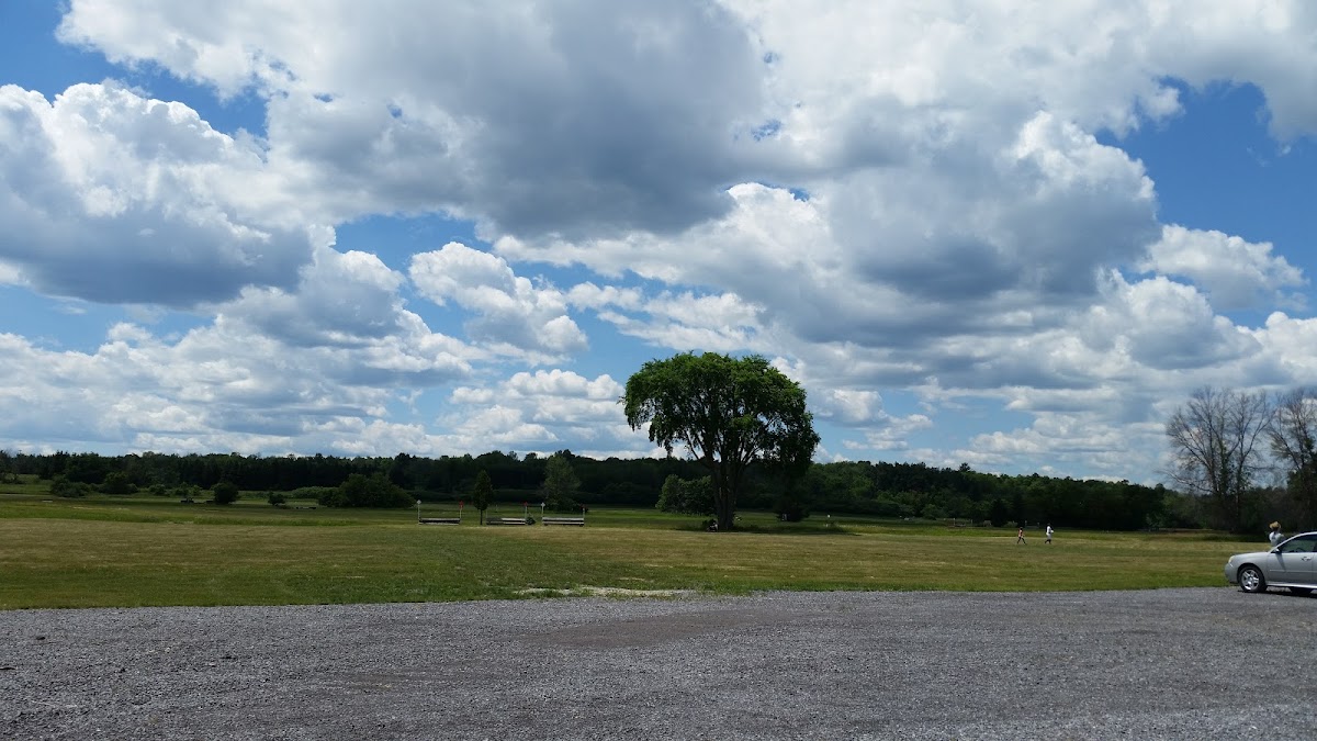Wesley Clover Parks