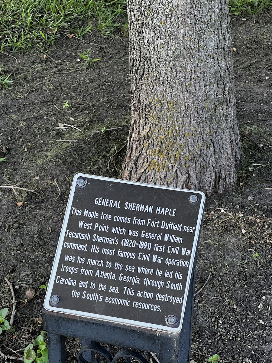 Sunset Park