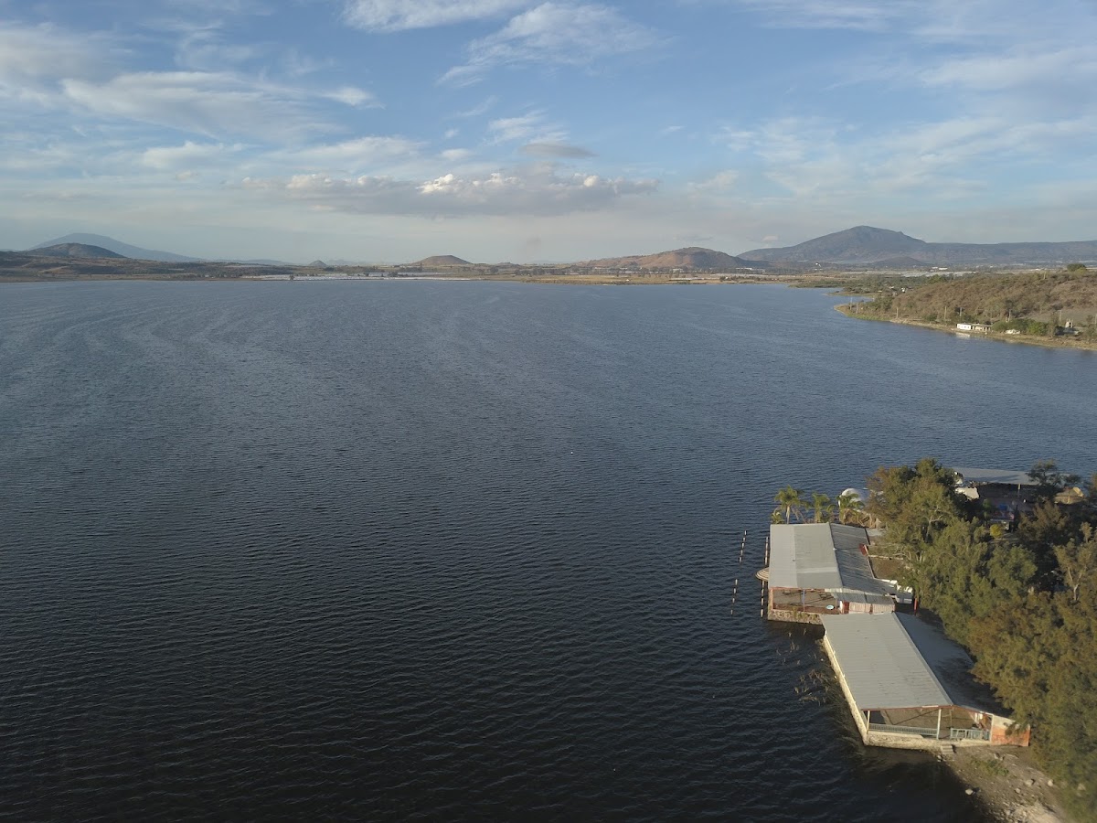Presa Valencia